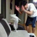 [W2]여자친구, 남자친구 부모님 양가 첫인사 선물 : 세종 꽃집 끌레르, 모하꽃집, 과일숲 과일바구니 후기