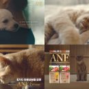 펫푸드온 주식회사 이미지