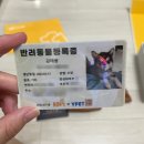 (주)와이펫 네이버블로그