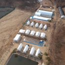 밤소리글램핑 이미지