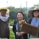 허니농장 이미지