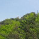 호수공원 삼거리(호수공원) 이미지