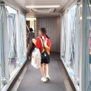 마카오 | 마카오 여행, 마카오 항공권 트립닷컴 최저가 에어마카오 후기 기내식, 마카오 호텔 가격비교