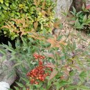인덕수산