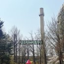 압구정-205 이미지