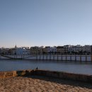 강을보다 이미지