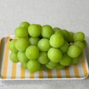 원씨네농장 이미지