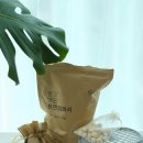 천연제품 이미지