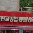 판교종합동물병원 네이버블로그