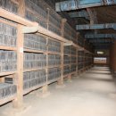 팔만대장경 이미지