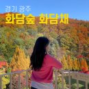 화담숲 전시관 화담채 예약 당일 현장 예매 후기 관람시간