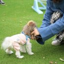 권순호농장 이미지