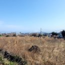 도경공인중개사사무소 이미지