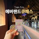에버랜드 큐패스 플랜잇 비교 투데이큐패스 구매방법 가격 사용후기