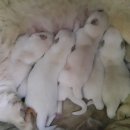 울산농장 이미지