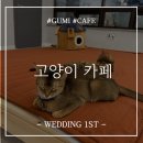 예뻐질:개&고양이카페 이미지