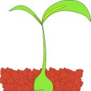 한중한의원 이미지