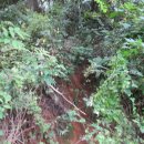 창원 안골왜성 이미지