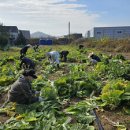 The 조은마트 이미지