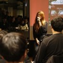 낭만고양이 이미지