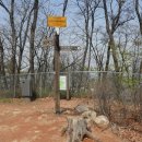 동작충효길 2코스 현충원길 이미지