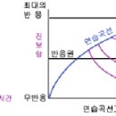 에빙하우스 망각곡선 1 이미지