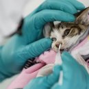 서울동물복지지원센터 동물병원(구로) 이미지