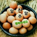 쫄랑쫄랑 이미지