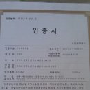 친환경 무농약 블루베리 판매합니다 이미지