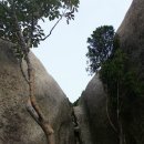 온곡초교 이미지