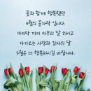 루나젬#2 | [공지] 2026년 4월-내 생애 가장 반짝이는 지금을 간직하고 싶어