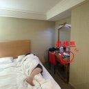 [대만 타이베이 메인역 근처 가성비 호텔] 그린 월드 플로라 아넥스 호텔_스탠다드 3인 룸 후기