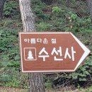 아름다운 절 수선사 ('24,10,17) 이미지