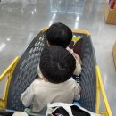 스콘단단씨