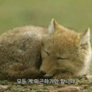 안녕;김밥 이미지