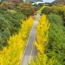 지산콘도미니엄 이미지