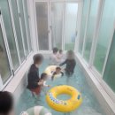 사리경주 풀빌라(이슬동) 이미지