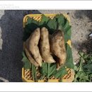 합심농장 이미지