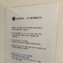 스킨벨리체
