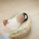 꼬물꼬물 | [베베리움 목동] 꼬물꼬물 신생아 본아트 촬영 시기 솔직 후기(ft.미래아이, 퀸즈마리)