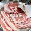 1987돼지삼촌 이미지