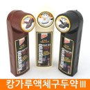 캉가루 이미지