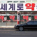 세계로메디칼약국 이미지