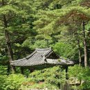 고운세상 이미지