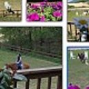 블루홀스 승마센터 이미지