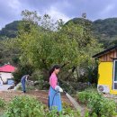 샤인민박 이미지