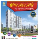 팰리스481