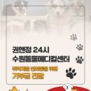 정＆수 메디칼 이미지