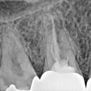 바른윤치과의원 이미지