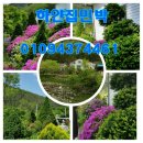 마이산민박 이미지